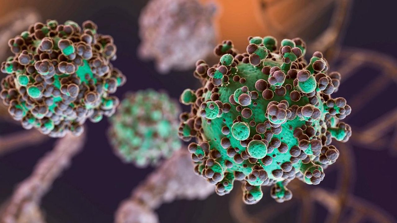 Hantavirus
