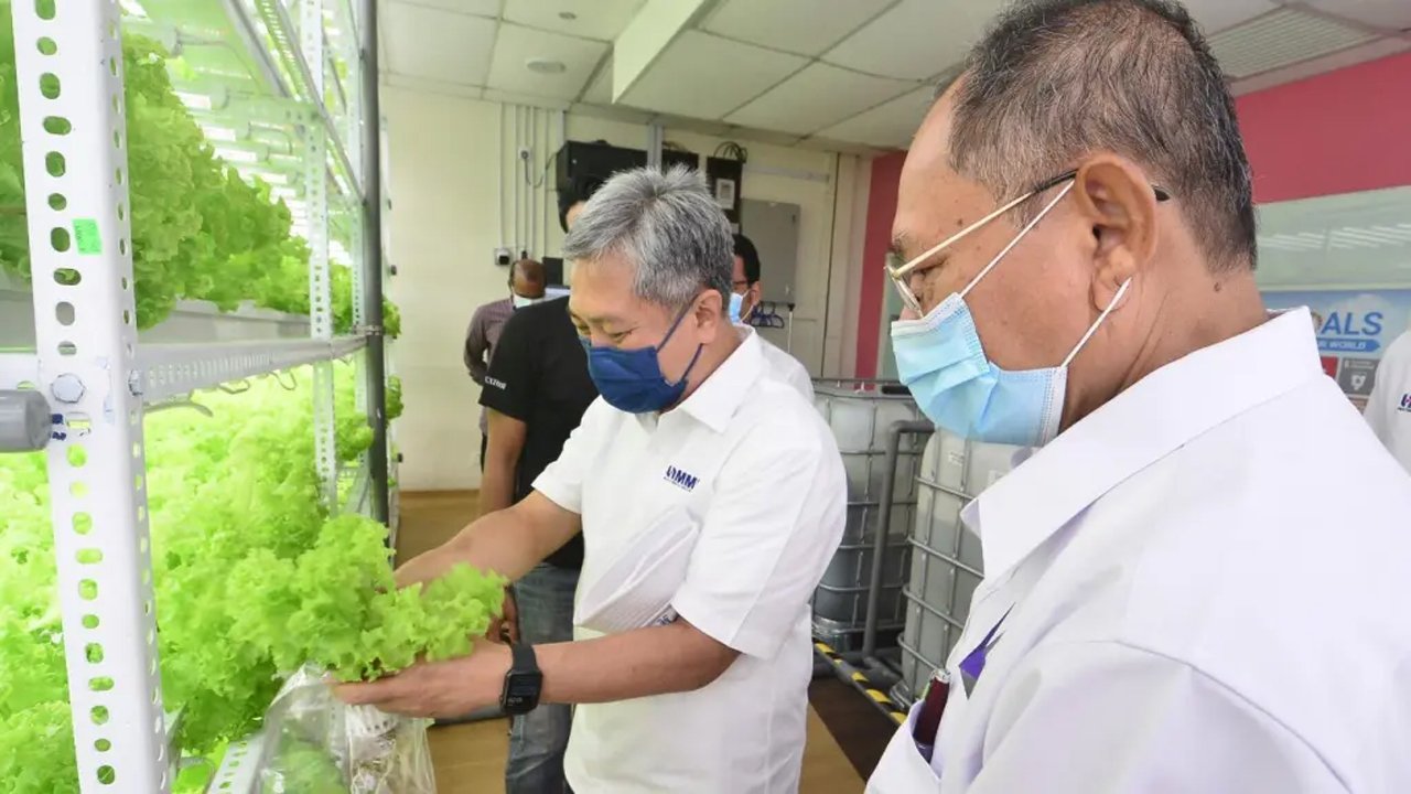 Los investigadores en el laboratorio de agricultura inteligente